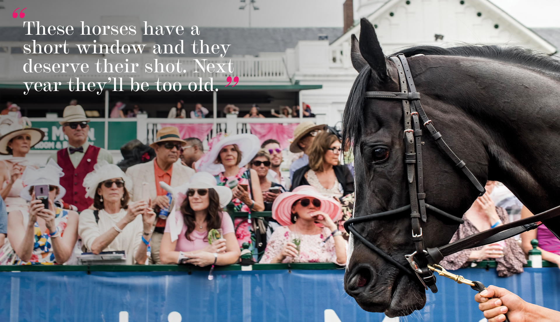 "These horses have a short window and they deserve their shot. Next year they'll be too old."