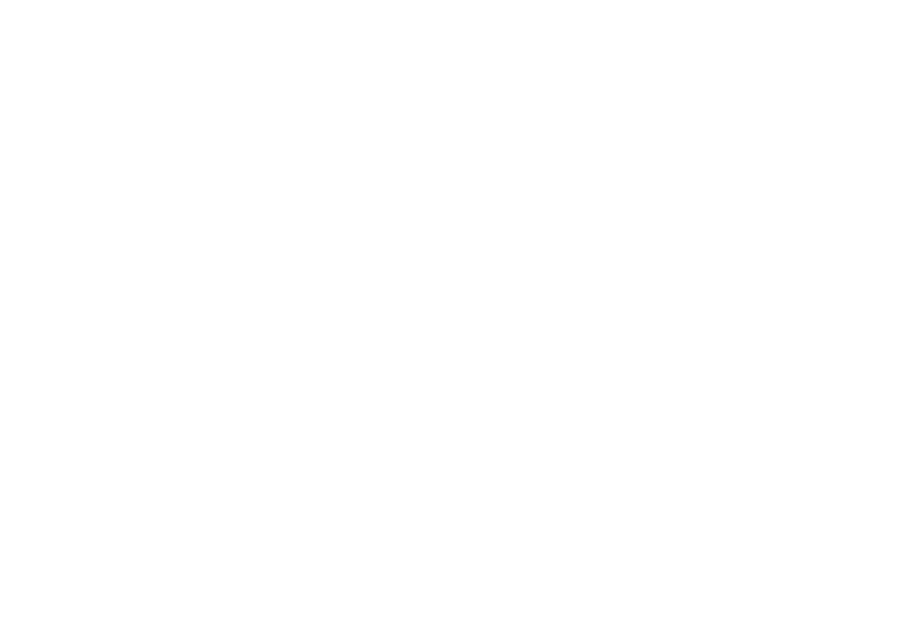 2017 Person of the Year