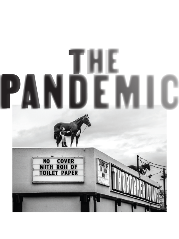 The Pandemic