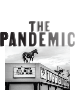 The Pandemic