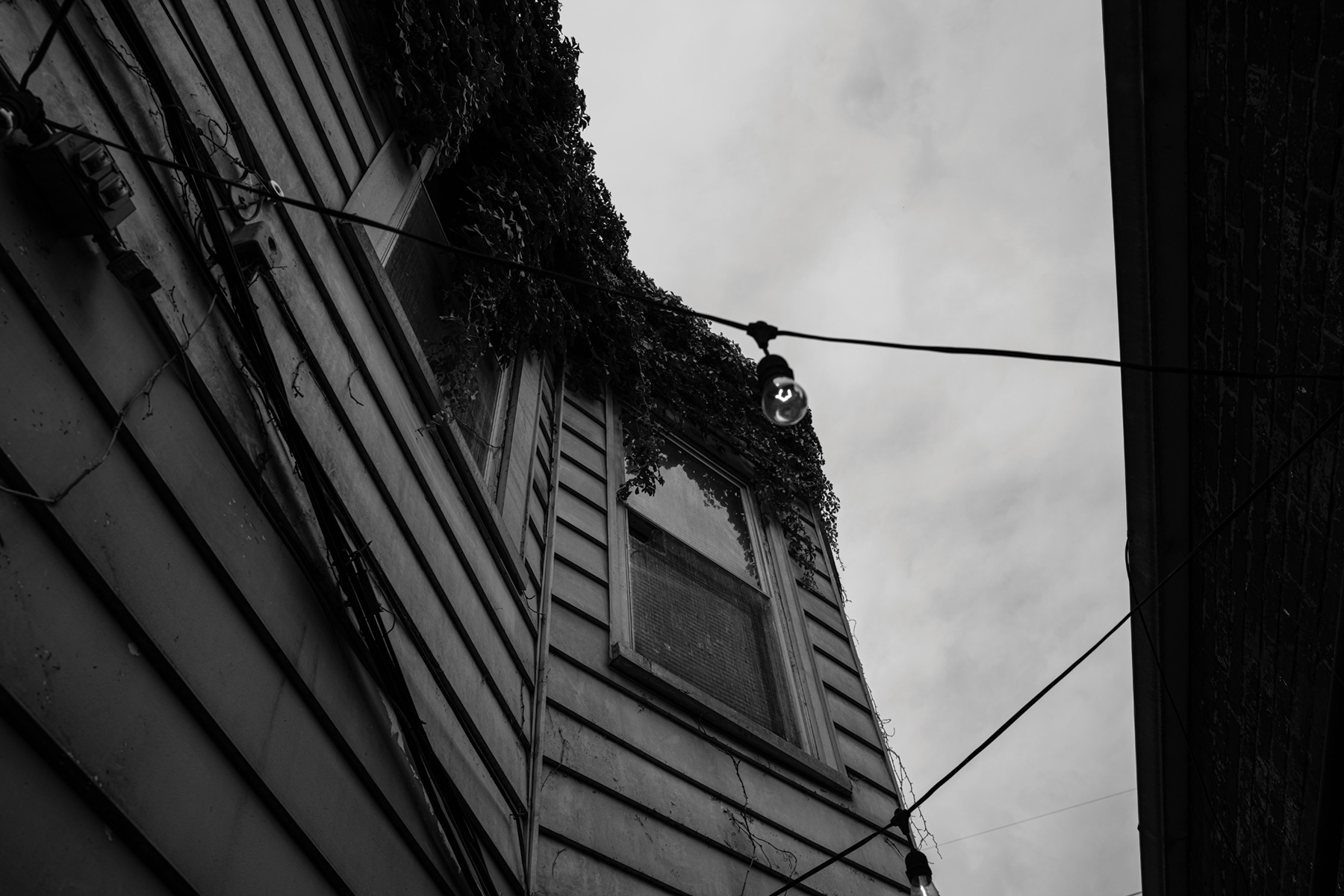 The alley cafe at Quills Coffee on Baxter Avenue.