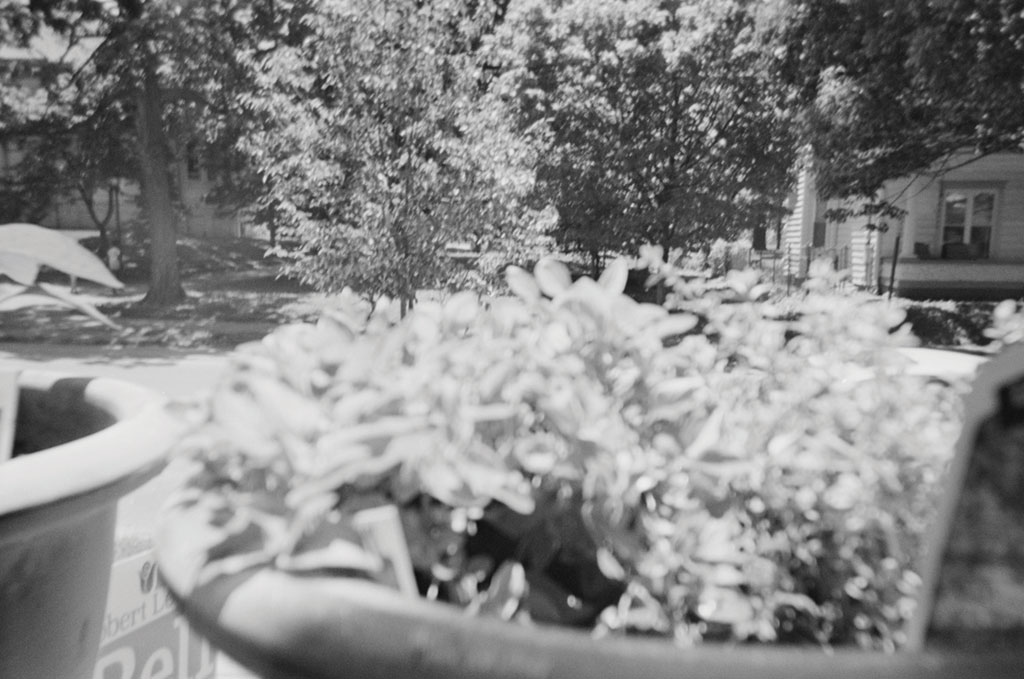 jmoss-5418-XP2-19 jmoss-5418-XP2-19